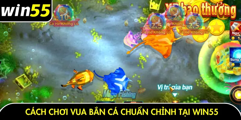 Cách chơi vua bắn cá chuẩn chỉnh tại Win55